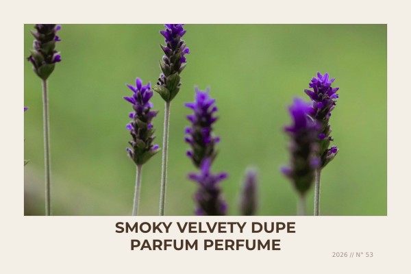 smoky velvety dupe parfum perfume