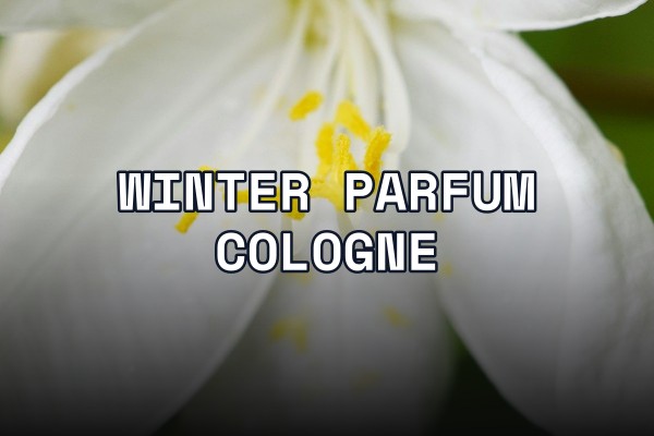 winter parfum cologne